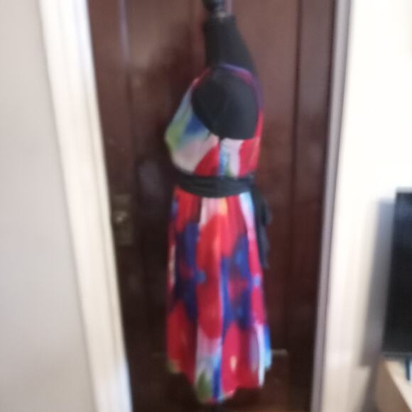 The Limited Empire Waist Dress Watercolor Tie Dye Red Poppy Floral Chiffon Sz 4 - Picture 4 of 11